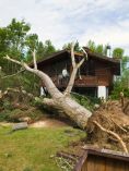 Tree falls on house after storm.