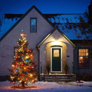 Holiday Tree outside of home