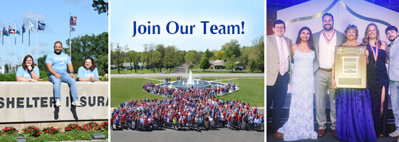 Shelter employees and agents. Join our team.