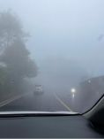 Car driving on foggy road at dusk.