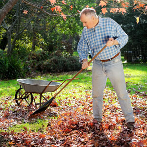 Man rakes fall leaves